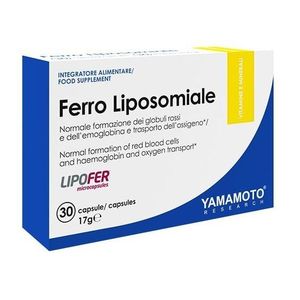 Ferro Fosfolipidico (železo + vitamín C) - Yamamoto 30 kaps. obraz