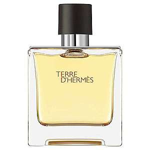 HERMÈS - Terre d'Hermès - Parfémová voda obraz