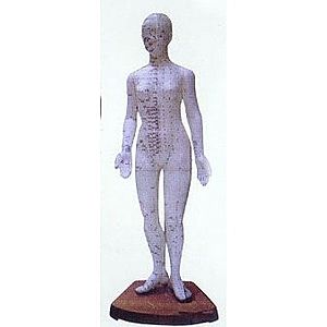 Akupunkturní model, žena 48 cm obraz