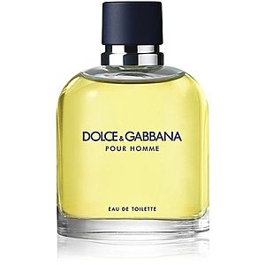 Dolce&Gabbana Pour Homme toaletní voda pro muže 75 ml obraz