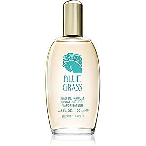 Elizabeth Arden Blue Grass parfémovaná voda pro ženy 100 ml obraz