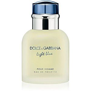 Dolce&Gabbana Light Blue Pour Homme toaletní voda pro muže 40 ml obraz