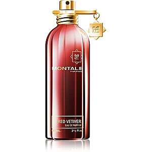 Montale Red Vetiver parfémovaná voda pro muže 100 ml obraz