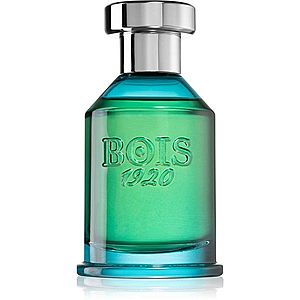 Bois 1920 Verde di Mare parfémovaná voda unisex 100 ml obraz