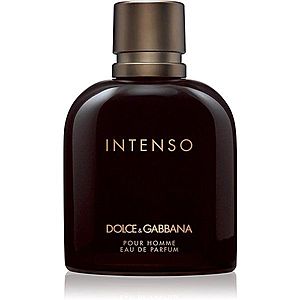 Dolce&Gabbana Pour Homme Intenso parfémovaná voda pro muže 200 ml obraz