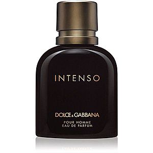 Dolce&Gabbana Pour Homme Intenso parfémovaná voda pro muže 75 ml obraz