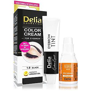 Delia Cosmetics Argan Oil barva na obočí odstín 1.0 Black 15 ml obraz