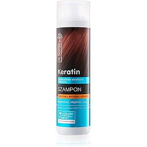 Dr. Santé Keratin regenerační a hydratační šampon pro křehké vlasy bez lesku 250 ml obraz
