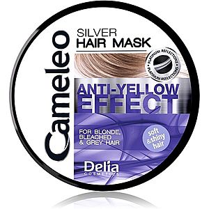 Delia Cosmetics Cameleo Silver maska na vlasy neutralizující žluté tóny 200 ml obraz