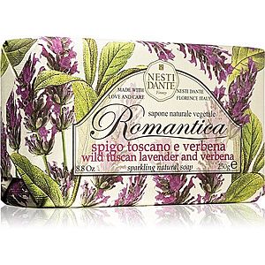 Nesti Dante Romantica Wild Tuscan Lavender and Verbena přírodní mýdlo 250 g obraz