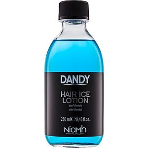 DANDY Hair Lotion vlasová kúra mentol 250 ml obraz