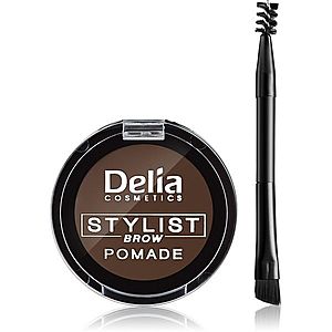 Delia Cosmetics Eyebrow Expert pomáda na obočí odstín Dark Brown 4 g obraz