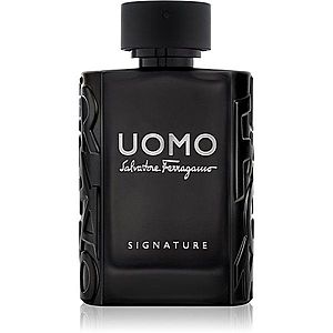 Salvatore Ferragamo Uomo Signature parfémovaná voda pro muže 100 ml obraz