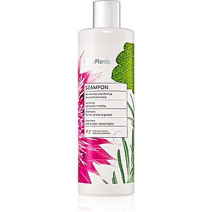 Vis Plantis Herbal Vital Care Rosemary šampon pro rychle se mastící vlasy 400 ml obraz