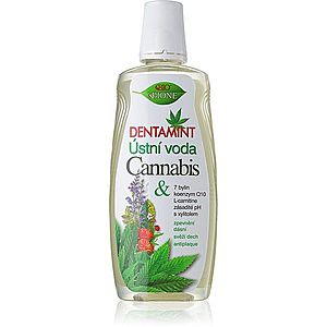 Bione Cosmetics Dentamint Cannabis ústní voda 500 ml obraz