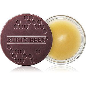 Burt’s Bees Lip Treatment intenzivní noční péče na rty 7.08 g obraz