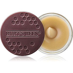 Burt’s Bees Lip Scrub peeling na rty s vyživujícím účinkem 7.08 g obraz