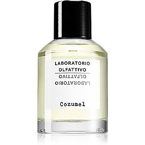 Laboratorio Olfattivo Cozumel parfémovaná voda pro muže 100 ml obraz
