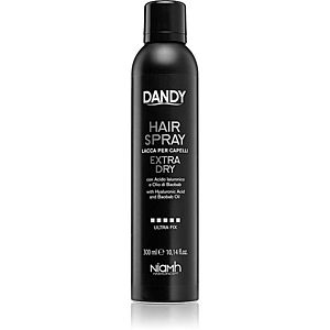 DANDY Hair Spray 300 ml obraz