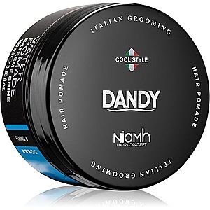 DANDY Water Pomade Extreme Shine pomáda na vlasy 100 ml obraz