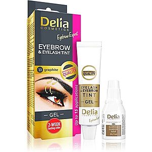 Delia Cosmetics Eyebrow Expert barva na obočí a řasy s aktivátorem odstín 1.1. Graphite 2 x 15 ml obraz