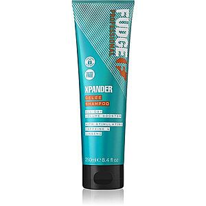 Fudge Care Xpander regenerační šampon pro poškozené a křehké vlasy 250 ml obraz