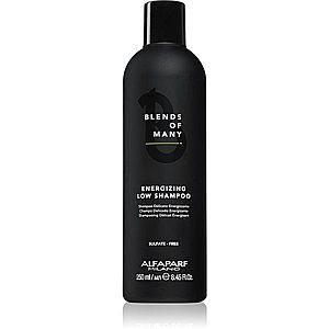 Alfaparf Milano Blends of Many Energizing energizující šampon pro jemné a zplihlé vlasy 250 ml obraz