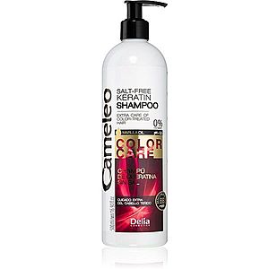 Delia Cosmetics Cameleo BB keratinový šampon pro barvené a melírované vlasy 500 ml obraz