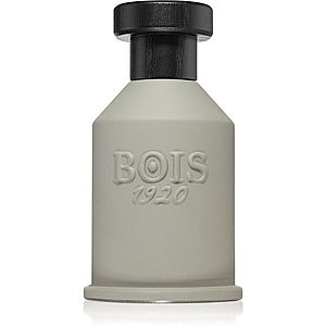 Bois 1920 Itruk parfémovaná voda unisex 100 ml obraz