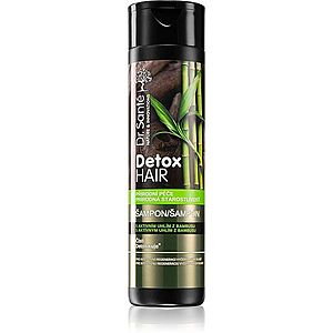 Dr. Santé Detox Hair intenzivně regenerační šampon 250 ml obraz