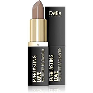 Delia Cosmetics Everlasting Love Be Glamour matná rtěnka odstín 301 happy 4 g obraz