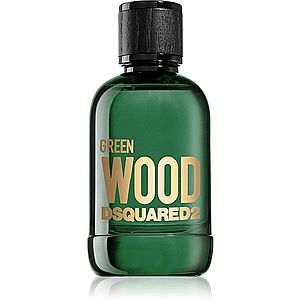 Dsquared2 Green Wood toaletní voda pro muže 100 ml obraz