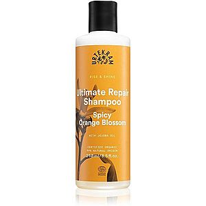 Urtekram Spicy Orange Blossom šampon pro suché a poškozené vlasy 250 ml obraz