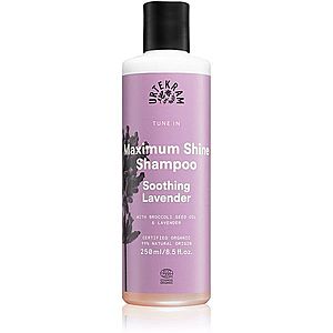 Urtekram Soothing Lavender zklidňující šampon pro lesk a hebkost vlasů 250 ml obraz