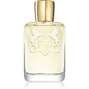 Parfums De Marly Shagya parfémovaná voda pro muže 125 ml obraz
