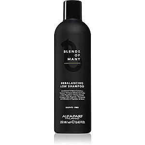 Alfaparf Milano Blends of Many Rebalancing šampon proti lupům 250 ml obraz