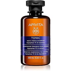 Apivita Men's Care HippophaeTC & Rosemary šampon proti vypadávání vlasů 250 ml obraz
