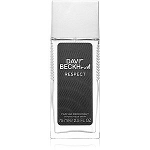 David Beckham Respect deodorant pro muže 75 ml obraz