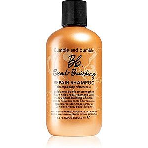 Bumble and bumble Bb.Bond-Building Repair Shampoo obnovující šampon pro každodenní použití 250 ml obraz