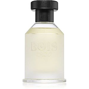 Bois 1920 Classic 1920 parfémovaná voda unisex 100 ml obraz