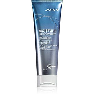Joico Moisture Recovery hydratační kondicionér pro suché vlasy 250 ml obraz