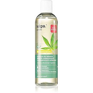 Tołpa Green Strengthening šampon pro oslabené a poškozené vlasy 300 ml obraz