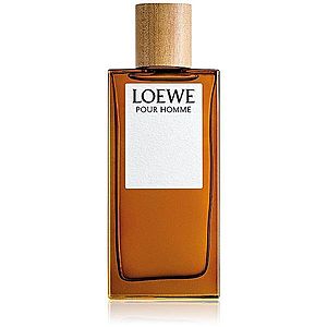 LOEWE - Loewe Pour Homme - Toaletní voda obraz