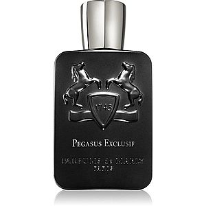Parfums De Marly Pegasus Exclusif parfémovaná voda pro muže 125 ml obraz