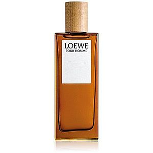 Loewe Loewe Pour Homme toaletní voda pro muže 50 ml obraz
