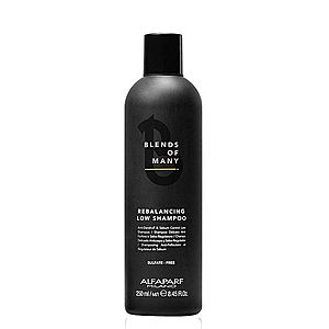 Alfaparf Milano Rebalancing Low Shampoo vyrovnávací šampon pro redukci mazu 250 ml obraz