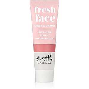 Barry M Fresh Face tekutá tvářenka a lesk na rty odstín Summer Rose 10 ml obraz