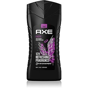 Axe Excite osvěžující sprchový gel pro muže 250 ml obraz
