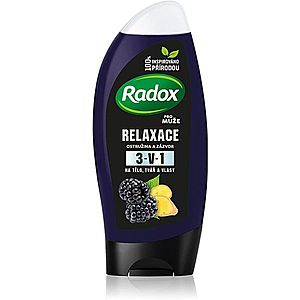 Radox Men Feel Wild sprchový gel a šampon 2 v 1 Blackberry & Ginger 250 ml obraz