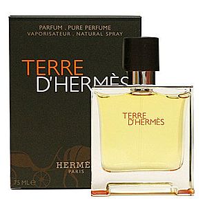 Hermes Terre D´ Hermes - P obraz